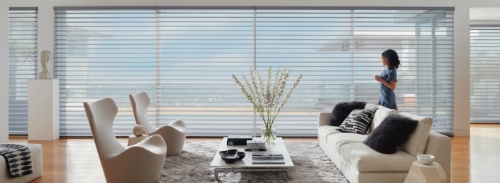 Media Room Blinds Shades Anchor Blinds Seattle Wa